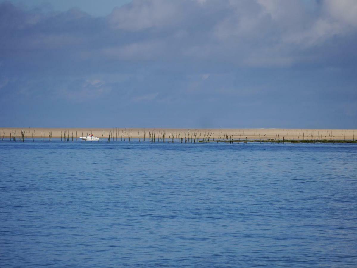 Au Coeur Du Bassin D'Arcachon Apartment Gujan-Mestras Luaran gambar